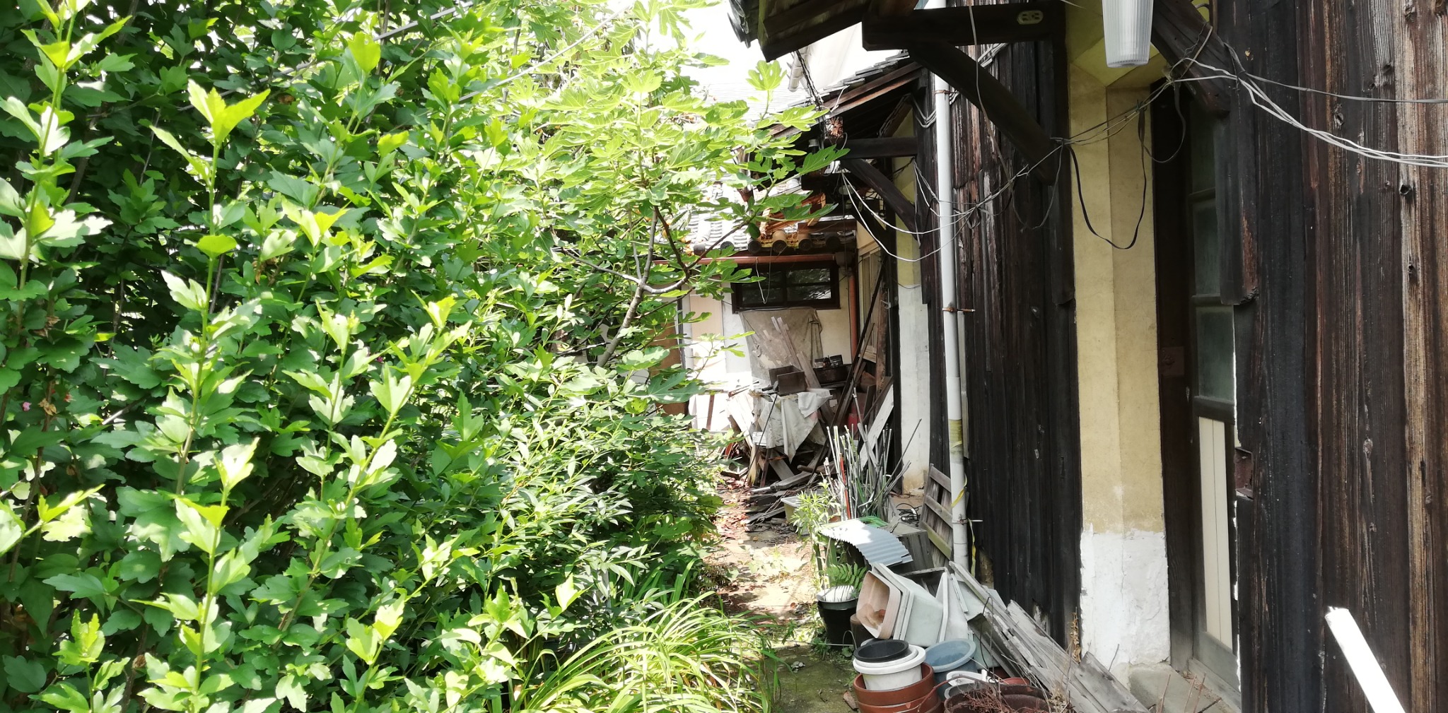 リノベーション前のくらふとや。草木に囲まれた建物脇と古い外壁
